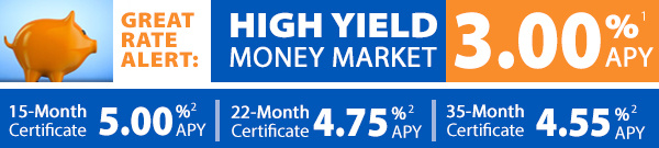 July-2024--HY-Money-Market-3.00-and-Certificate-Offers-5